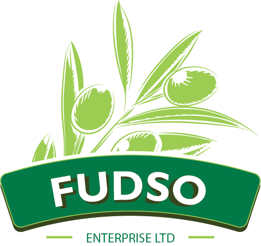 FUDSO LOGO